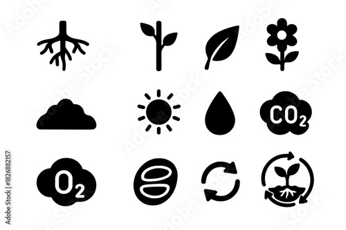 Plant Growth Icons. Plant growth cycle. Solid icon set of Plant growth cycle: roots, stem, leaf, flower, soil, sun, water droplet, carbon dioxide, oxygen,