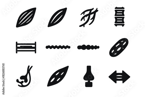 Muscle Fiber Icon Set. Muscle fibers. Solid icon set of Muscle fibers: skeletal muscle, smooth muscle, cardiac muscle, myofibril, sarcomere, actin filament,