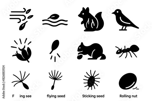 Seed Dispersal Icons. Seed dispersal. Solid icon set of Seed dispersal: wind, water, animal fur, bird, exploding pod, gravity, squirrel burying, ant carrying,