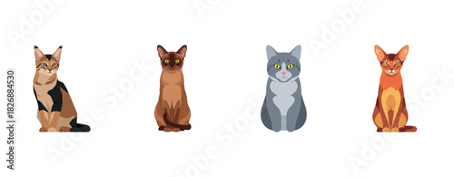 Illustrated cats featuring lynx, burmese, british shorthair, abyssinian breeds