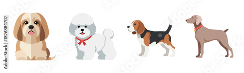 Illustration of four diverse dog breeds: shih tzu, bichon frise, beagle, weimaraner