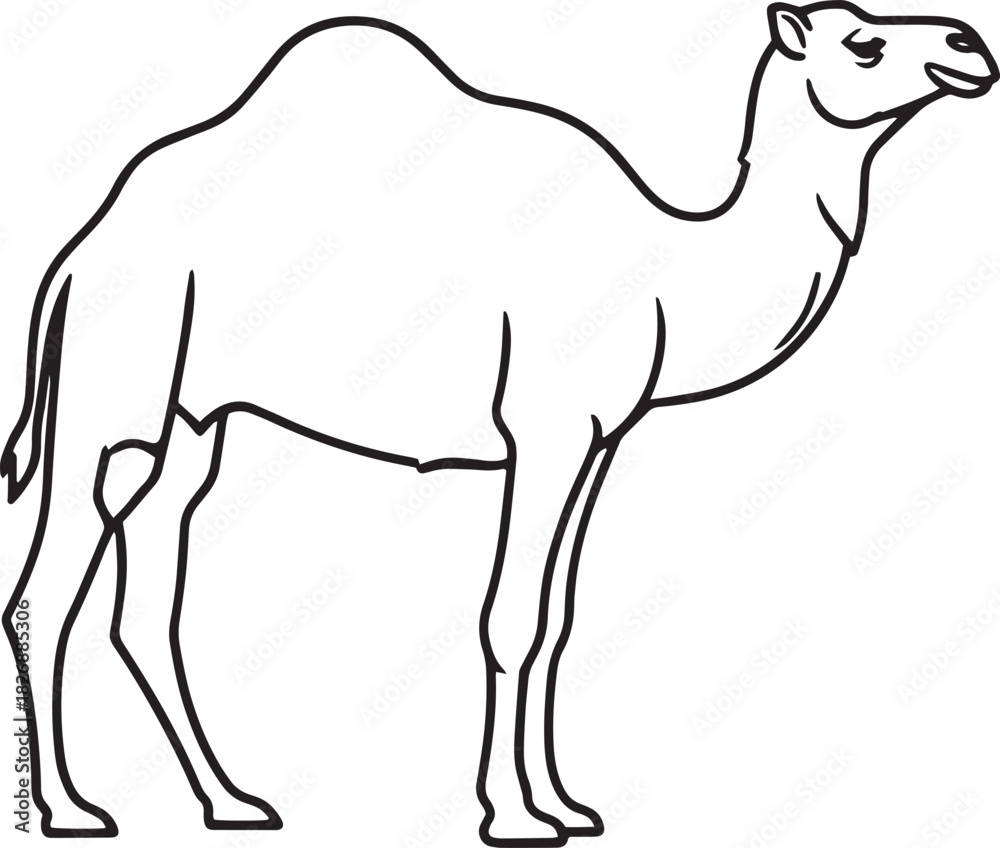 Fototapeta premium Dromedary camel side profile, black line art isolated—desert animal.