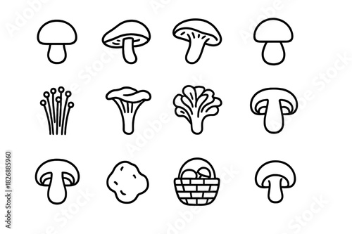 Edible Mushrooms Icon Set. Edible Mushrooms. Line icon set of Edible Mushrooms: button mushroom, shiitake, oyster mushroom, porcini, enoki, chanterelle,
