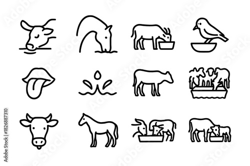 Animal Drinking Behaviors. Animal drinking behavior. Line icon set of animal drinking behavior: cow lapping water, horse head down, goat at trough, bird on