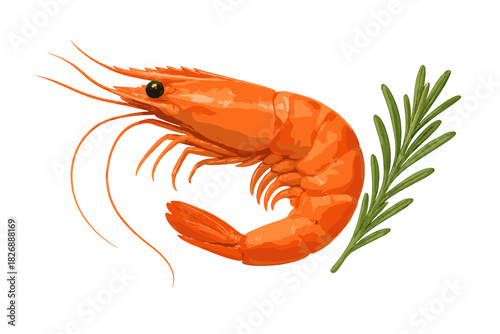 Appetizing cooked orange shrimp with fresh green rosemary sprig isolated on white background