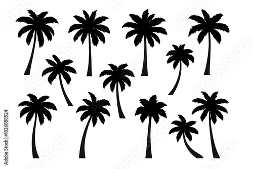 Collection of diverse black palm tree silhouettes for tropical summer vacation designs