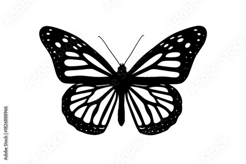 Detailed black and white silhouette of a butterfly with spread wings and intricate patterns
