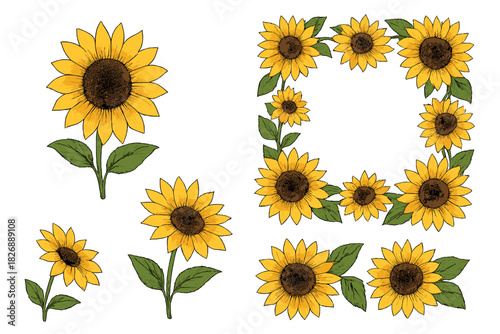 Hand drawn style set of blooming sunflowers and a decorative corner border design