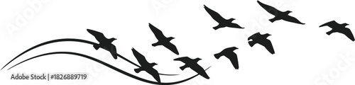 Silhouette of birds flying with swirling lines on a white background