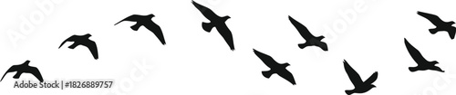 Flock of birds flying in formation against a white sky background