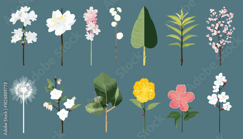 Zestaw wektorowych ilustracji botanicznych: różnorodne kwiaty, liście i pąki roślin na tle