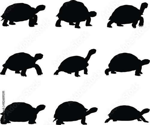 Nine Black Silhouette Icons of Tortoises in Various Poses turtle reptile