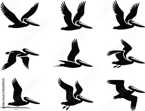 Pelican Bird Icons Set in Various Flying and Perching Poses vector