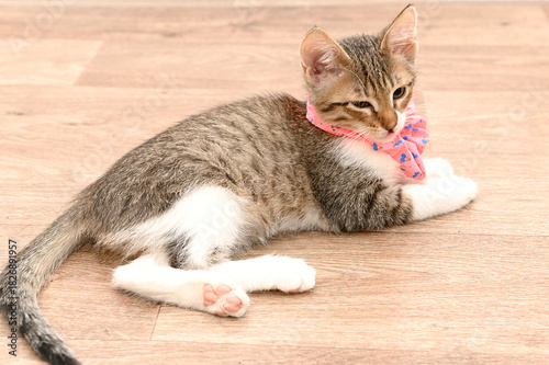 A small cute kitten with a pink bow is lying on the floor.