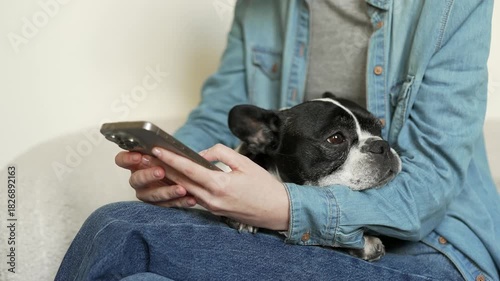 Close up of woman's hands using mobile phone with pet french bulldog resting peacefully on her lap. Female texting and browsing social media online at home with her dog, while sitting on a sofa.