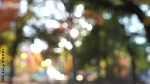 紅葉した秋の景色　ピンボケイメージ