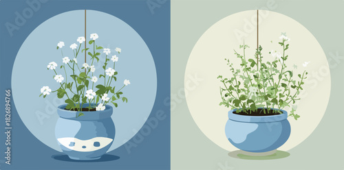 파란색 화분에 담긴 섬세한 흰색 꽃과 푸른 잎 식물이 행잉 데코레이션으로 연출된 벡터 일러스트