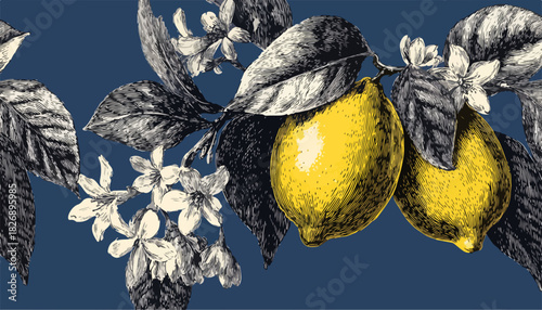 짙은 남색 배경에 레몬과 꽃이 피어있는 빈티지 스타일의 식물 일러스트레이션