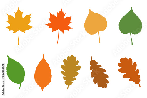 Set of autumn leaves graphic illustration collection