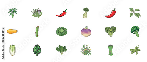 Illustrated collection of various vegetables and herbs