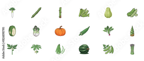Assorted vegetables collection: pumpkin, okra, asparagus, and more