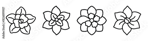 Floral line art vector drawing of succulent plants for botanical illustration and design elements