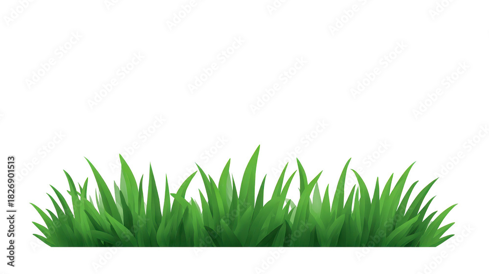 Fototapeta premium Green grass nature plant outdoor fresh summer field landscape isolated realistic illustration of vibrant grass blades for natural design projects