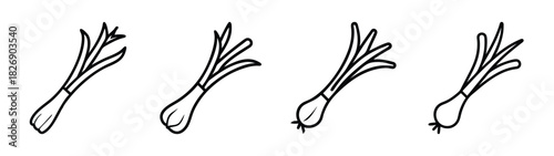 Vector illustration of fresh scallions spring onions bunch isolated on white background outline drawing