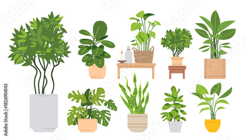 Collection of Indoor Plants in Pots. Set of Different Indoor House or Office Flowers. Vector illustration