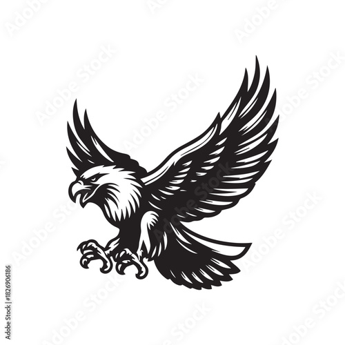 eagle vector illustration
