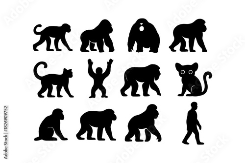 Wildlife silhouettes: diverse primate and human figures in black silhouette style