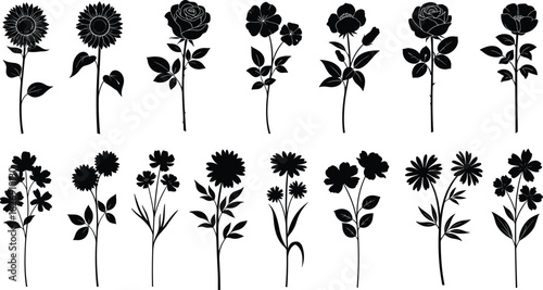 Beautiful flower silhouettes collection, various floral species black vector illustration design for botanical artwork, nature decor and garden concepts