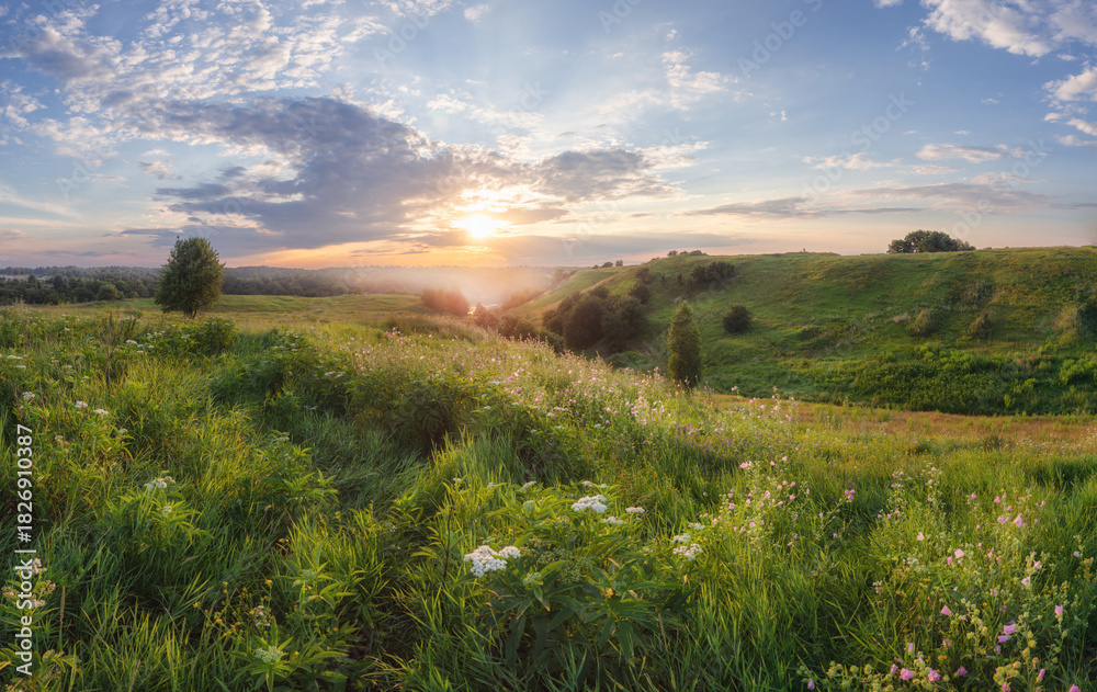 Obraz premium sunset in the field