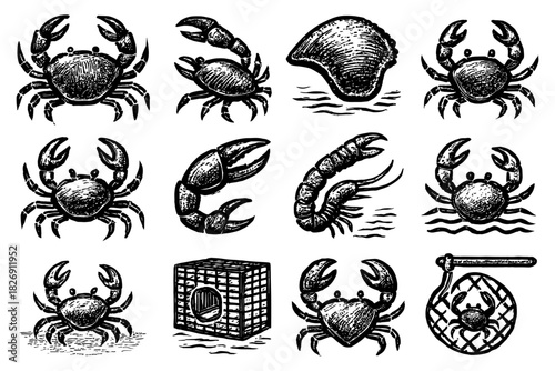 Vintage seafood designs featuring crabs, lobster claws, and clams in hand-drawn style