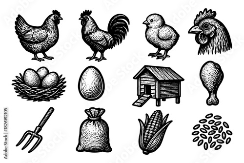 Vintage farm animal and produce icons featuring chickens, eggs, and corn
