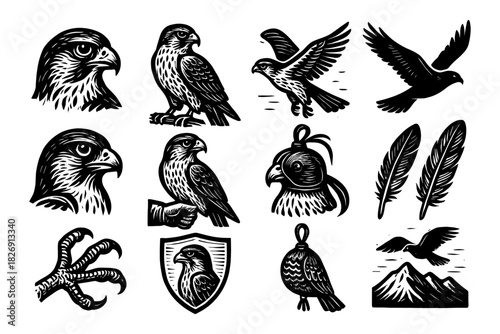 Collection of vintage falcon and hawk designs with feathers and claws