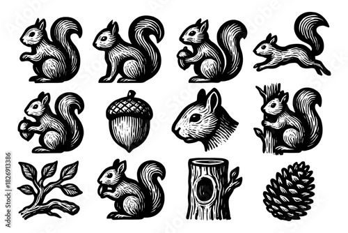 Vintage woodland squirrel collection with acorns and pinecones in monochrome style