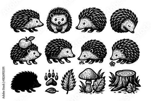 Charming woodland creatures: black and white hedgehog collection for kids