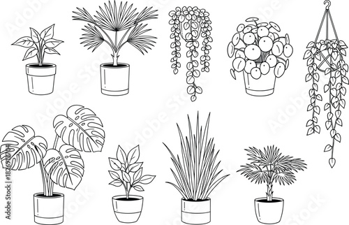 Potted houseplants illustration collection, indoor plants line art drawing, botanical vector design for home decor, gardening and nature artwork