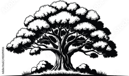 Majestic Giant Tree Vector Silhouette Illustration Black and White Design Element Icon Oak or Banyan Forest Nature Park Landscape Background Graphic.