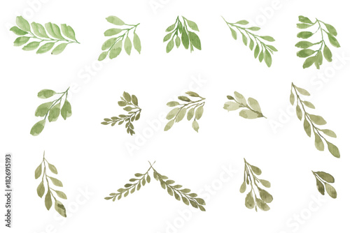 Assortment of watercolor leaves illustration set - green leaf branches collection for wedding, greetings, stationary, wallpapers, fashion, background. olive, green leaves, Eucalyptus etc	
