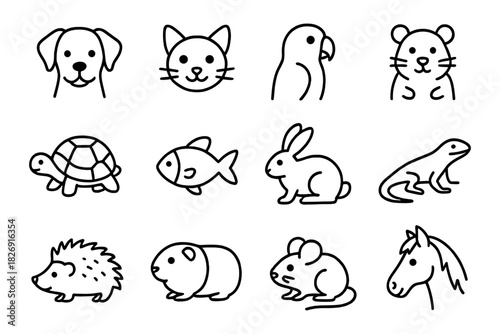 Animal outline icons set featuring various domestic and exotic creatures in linear style