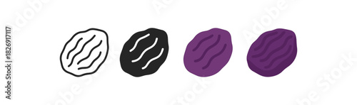 Flat style raisin icon set: monochrome and colorful variations