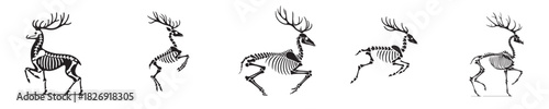 deer skeleton silhouette vector
