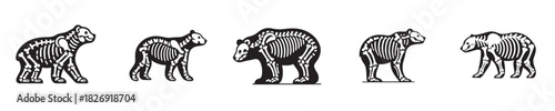 bear bone skeleton vector silhouette