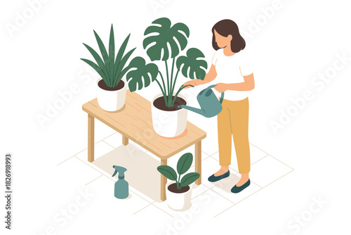 Woman watering houseplants in modern indoor garden isometric design
