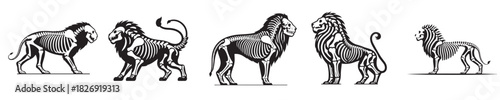 vector lion bones skeleton silhouette