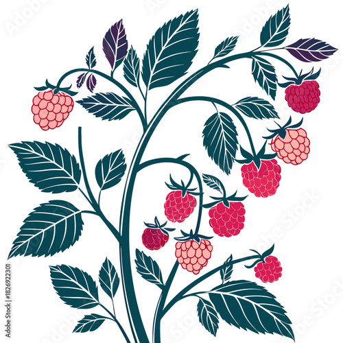 raspberry tree with leaves