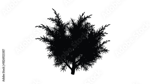 Dense evergreen shrub silhouette with spiky foliage and visible trunk base, detailed black vector graphic for nature design, isolated on white background
