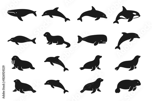 Silhouettes of marine animals including dolphins, whales, seals, otters, and walrus